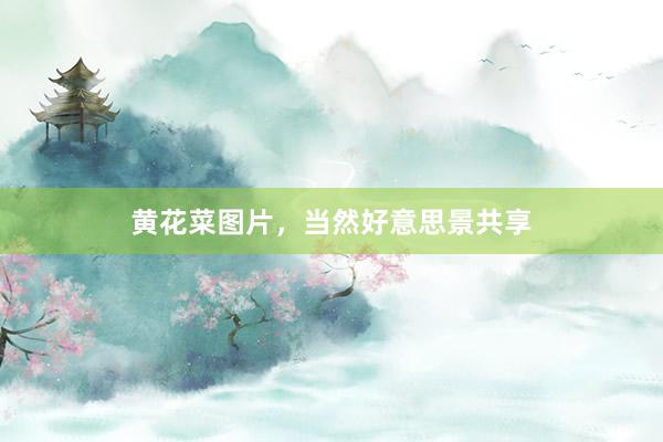 黄花菜图片，当然好意思景共享